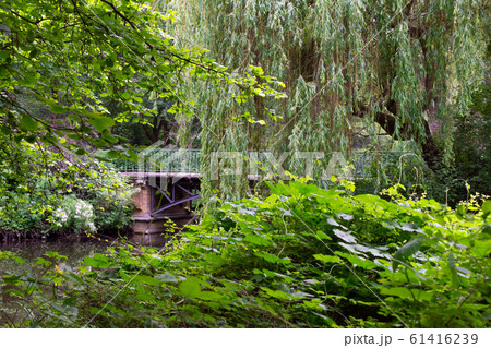 Walk through the Tiergarten park Walk through the Tiergarten park 61416239