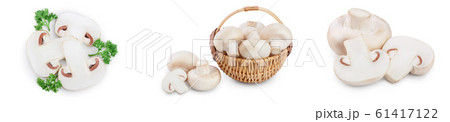 Fresh mushrooms champignon isolated on white background with clipping path and full depth of field. Set or collection Fresh mushrooms champignon isolated on white background with clipping path and full depth of field. Set or collection 61417122