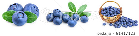 fresh blueberry with leaves isolated on white background closeup. Set or collection fresh blueberry with leaves isolated on white background closeup. Set or collection 61417123