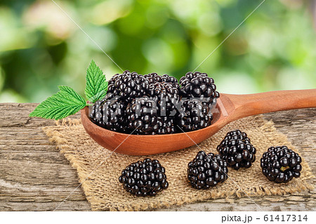 blackberry in spoon on the old wooden table with blurred garden background 61417314