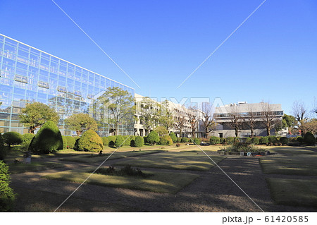 千葉大学 松戸キャンパス 千葉大学 松戸キャンパス 61420585