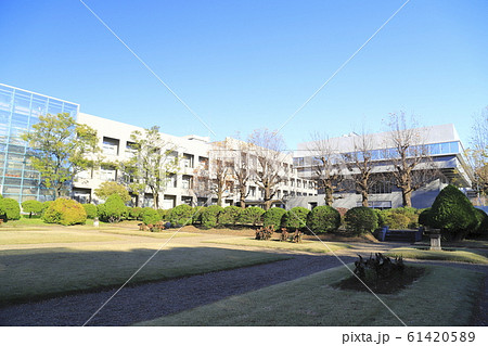千葉大学 松戸キャンパス 千葉大学 松戸キャンパス 61420589