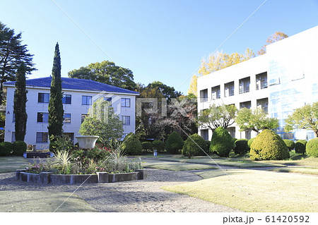 千葉大学 松戸キャンパス 千葉大学 松戸キャンパス 61420592