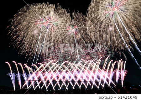 夜空を覆う秋の花火 夜空を覆う秋の花火 61421049