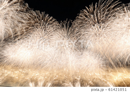 夜空を埋め尽くす秋の花火 61421051