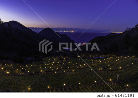 (静岡県)西伊豆松崎町 石部の灯り ウインター・イルミネーション (静岡県)西伊豆松崎町 石部の灯り ウインター・イルミネーション 61421191