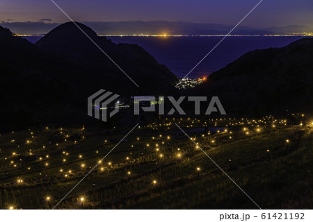 （静岡県）西伊豆松崎町　石部の灯り　ウインター・イルミネーション 61421192