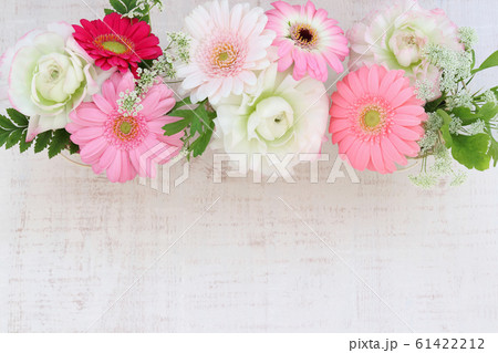 ピンクのガーベラ ピンクのガーベラ 61422212