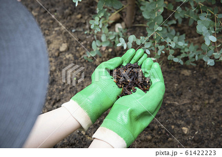 堆肥 堆肥 61422223