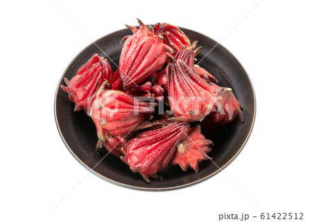 ローゼル 61422512