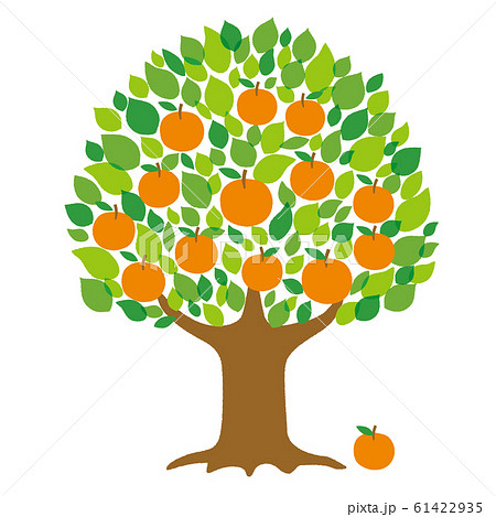 オレンジの木のイラスト素材