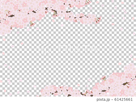 Cherry blossoms in full bloom white background - Stock Illustration ...