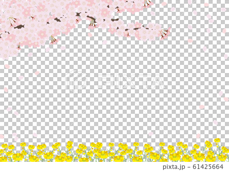 満開の桜と菜の花畑 61425664