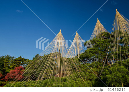 兼六園の秋 61426213