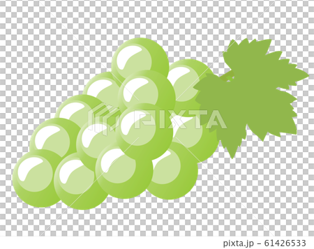 一束綠色的葡萄的插圖 61426533