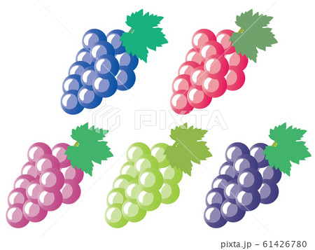 紫や緑や赤のいろんなブドウのセットのイラスト素材