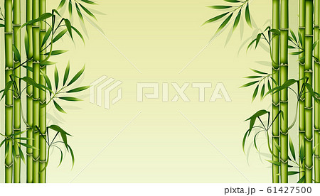 bamboo background vector 61427500