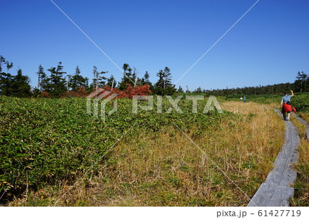 秋の八幡平快晴の八幡沼 61427719