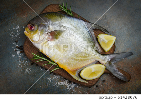 Fresh pomfret fish with herbs spices rosemary and 61428076