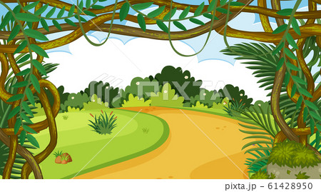 Nature scene with trail in the park 61428950