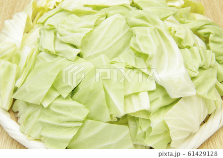 キャベツのざく切り キャベツのざく切り 61429128