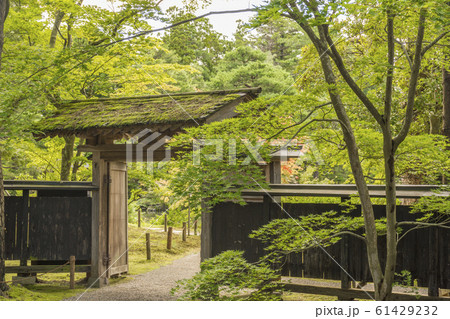 純和風　新発田市の清水園 61429232