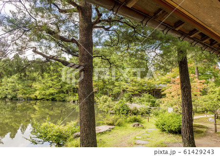 純和風　新発田市の清水園 61429243