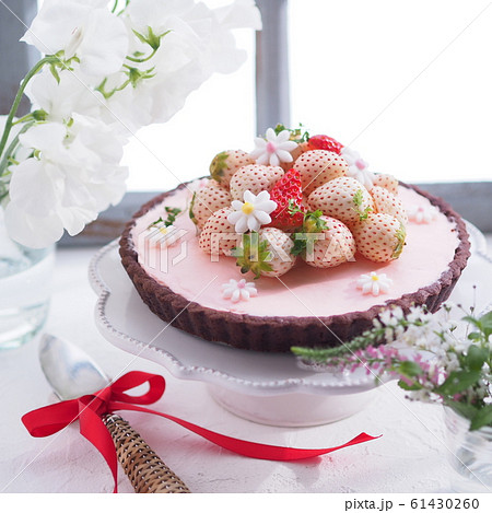 春スイーツ 白いイチゴのタルトケーキの写真素材
