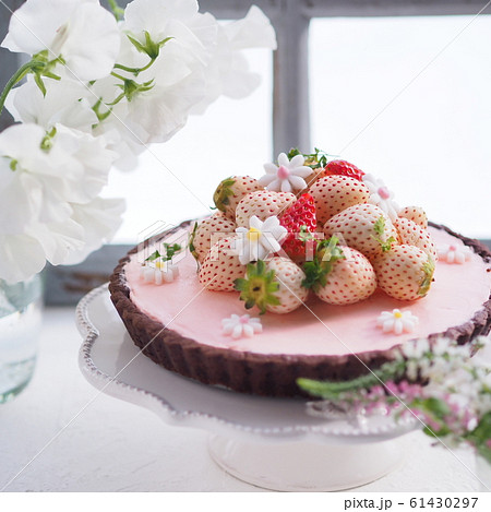 春スイーツ 白いイチゴのタルトケーキ 春スイーツ 白いイチゴのタルトケーキ 61430297