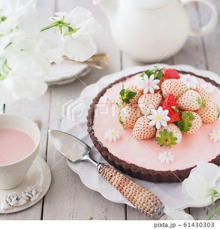 春スイーツ 白いイチゴのタルトケーキの写真素材