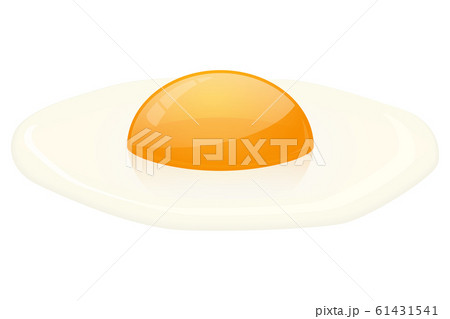 Raw broken egg. Egg yolk and egg whiteのイラスト素材 [61431541