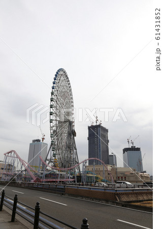 桜木町　横浜みなとみらい　山下公園 61431852