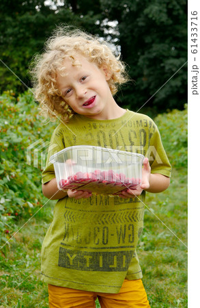 little blond boy picking raspberries in the garden little blond boy picking raspberries in the garden 61433716