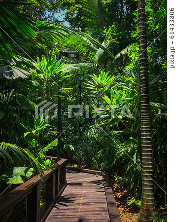 Nice footpath in Australia, Brisbane, South Bank 61433806