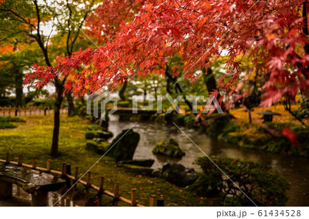 兼六園の紅葉 61434528