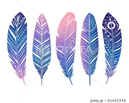 Color feathers vector set. Hand sketched tribal feathers isolated on white Color feathers vector set. Hand sketched tribal feathers isolated on white 61435349