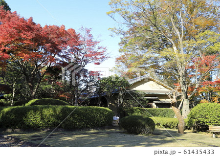 松戸市戸定歴史館 戸定が丘歴史公園 松戸市戸定歴史館 戸定が丘歴史公園 61435433