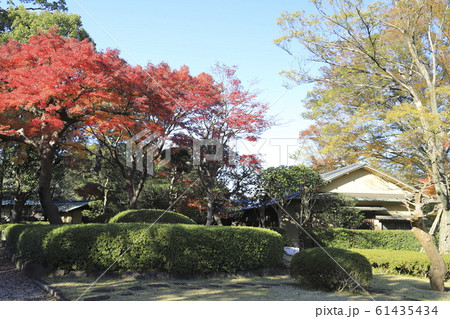 松戸市戸定歴史館 戸定が丘歴史公園 松戸市戸定歴史館 戸定が丘歴史公園 61435434
