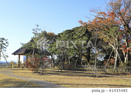 秋の戸定が丘歴史公園 千葉県松戸市 秋の戸定が丘歴史公園 千葉県松戸市 61435485