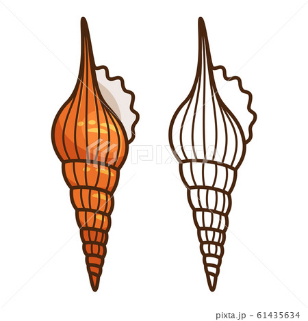 Cartoon Sea Shell Kids Coloring Pageのイラスト素材 Cartoon Sea Shell Kids Coloring Pageのイラスト素材