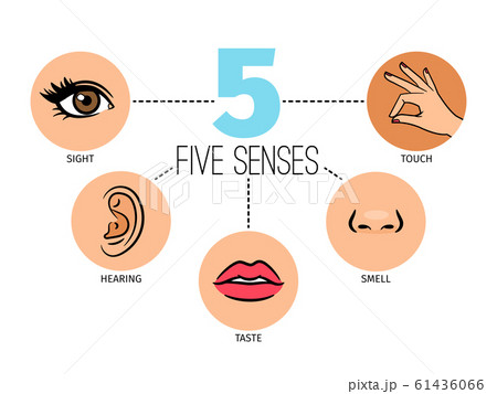 Five human feelings. Mouth or lips, hand and nose, eye and ear icons, sight and smell, touch, hearing and taste senses 61436066