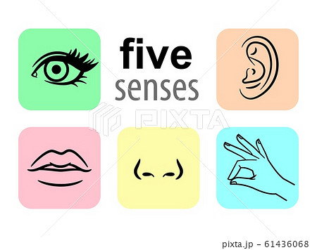 Senses icons. Five human illustrative senses vector illustration, taste and smell or nose sights 61436068
