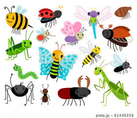 Cartoon insects. Vector cute insect collection,... - Stock Illustration  [61436359] - PIXTA