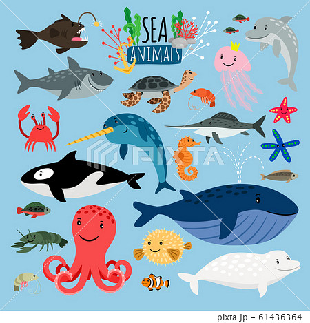 Sea Animals. Vector underwater animal creatures... - Stock Illustration  [61436364] - PIXTA