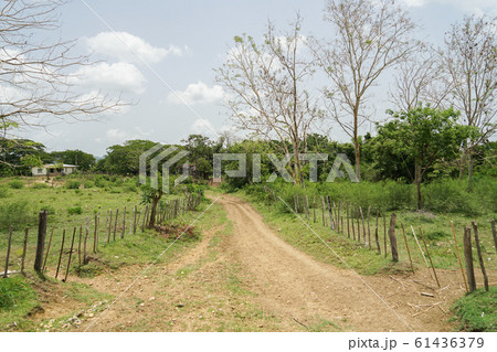 ロスインヘニオス渓谷の風景 ロスインヘニオス渓谷の風景 61436379