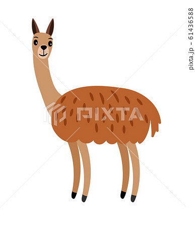 Vicuna cute cartoon animal 61436588