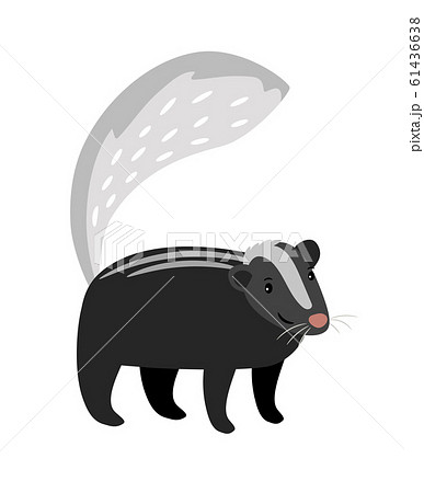 Skunk cute cartoon icon 61436638