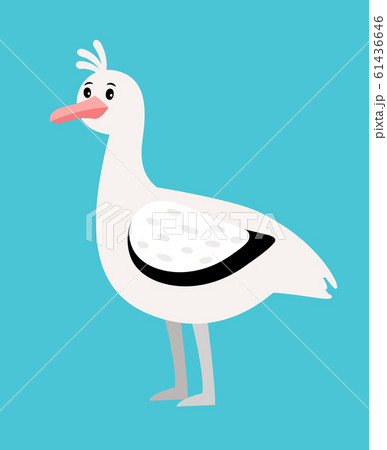 Seagull white bird icon 61436646