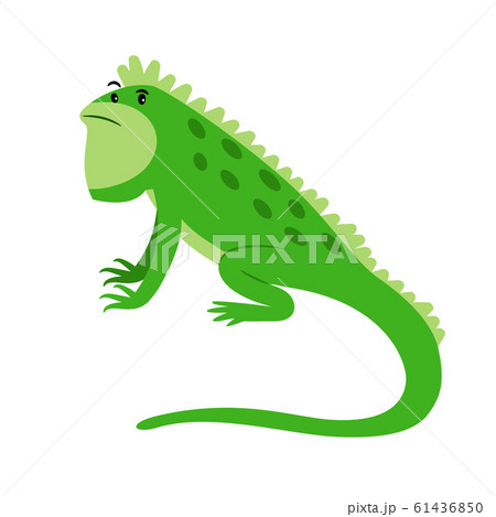 Iguana Exotic Reptile Cartoon Iconのイラスト素材