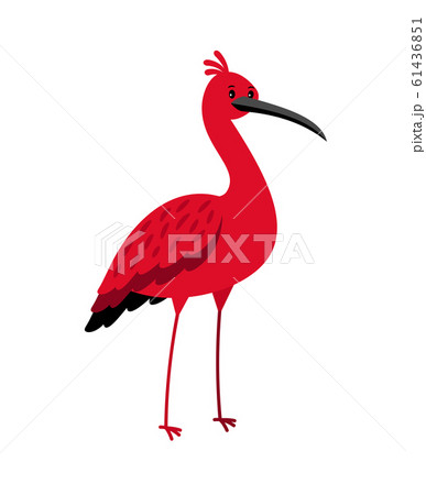 Ibis Red Bird Cartoon Iconのイラスト素材